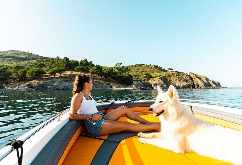 Отель Intense Boutik Hôtel