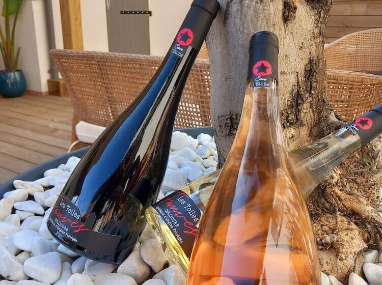 Отель Intense Boutik Hôtel