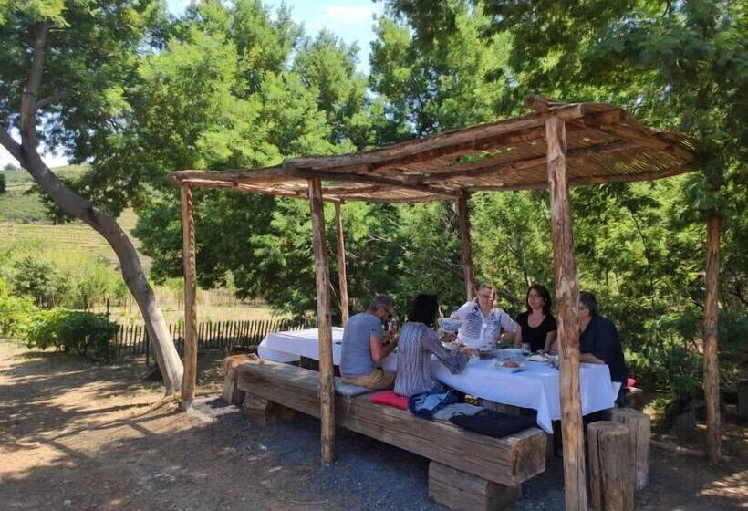 Отель Intense Boutik Hôtel