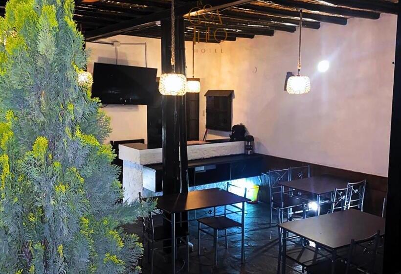 هتل La Casa De Theo