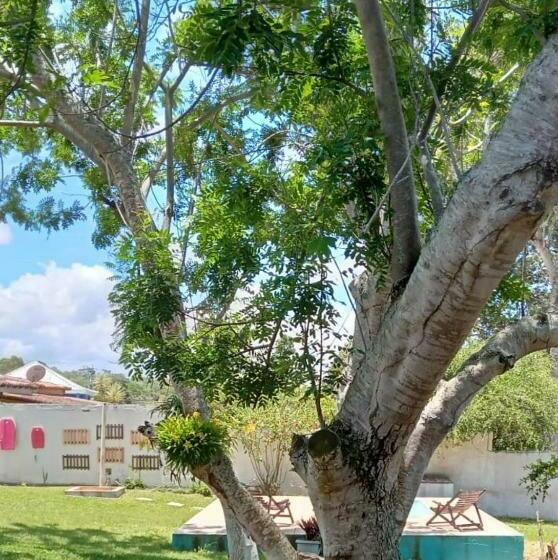 Отель Lirios Da Vila Pousada