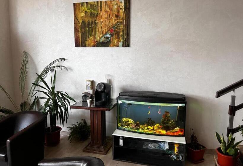 Отель Live Tulcea