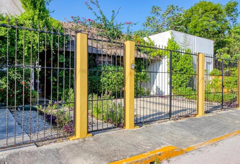 ホテル Mahahual 1