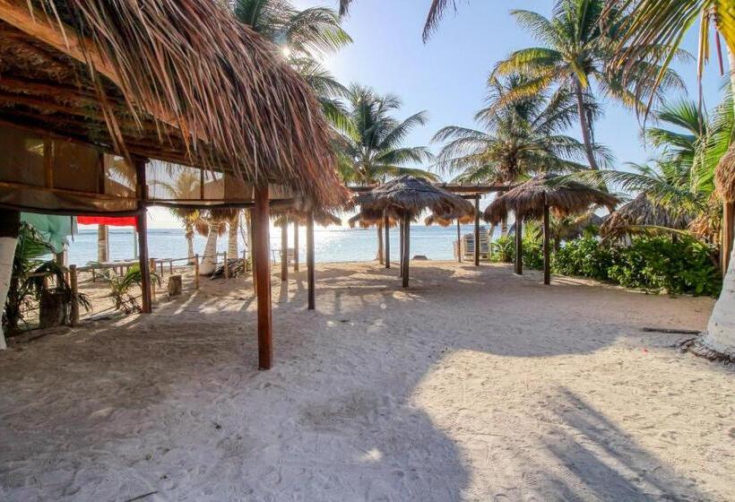 ホテル Mahahual 1