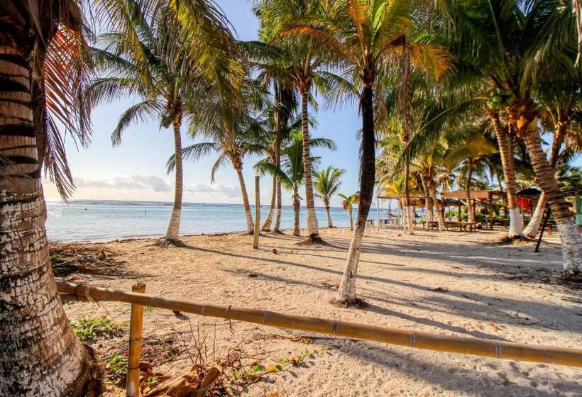 ホテル Mahahual 1