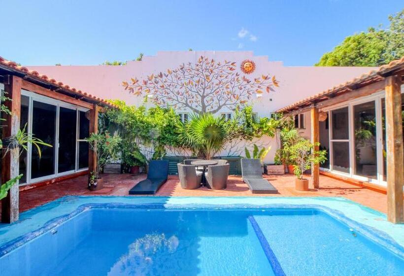 ホテル Mahahual 1