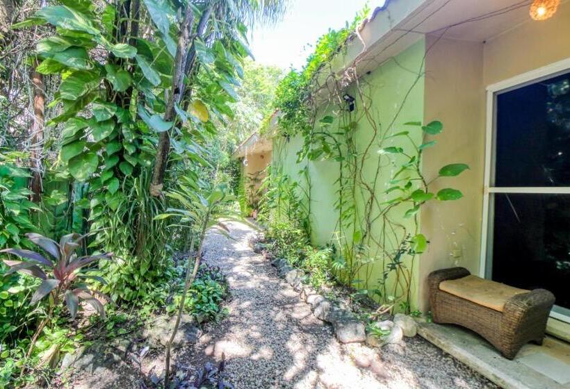 ホテル Mahahual 1