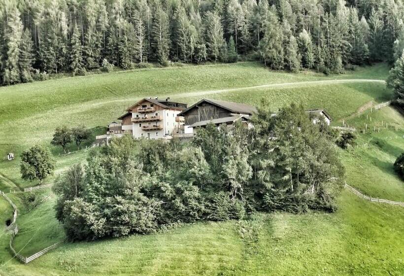 בית מלון כפרי Planerhof Apartment Edelweiss