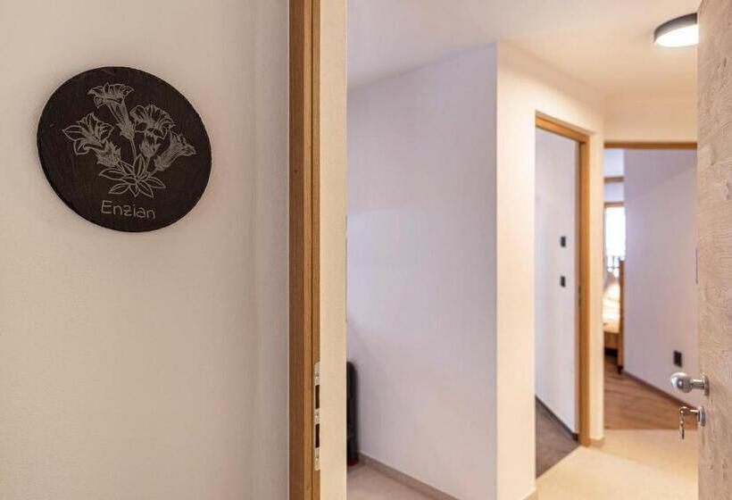 בית מלון כפרי Planerhof Apartment Enzian