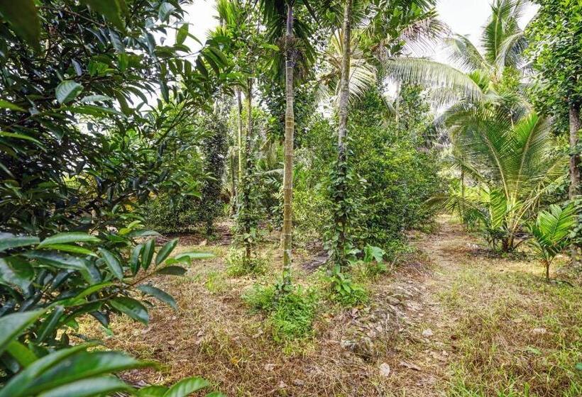 Отель Spot On 804461 Shalom Palace Residency