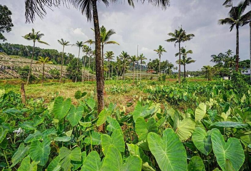 Отель Spot On 804461 Shalom Palace Residency