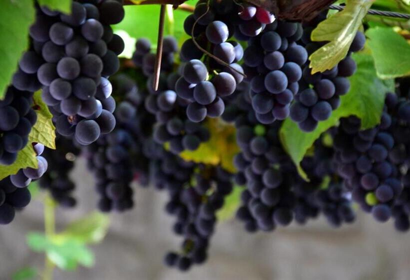 هتل Tourist Farm škerlj