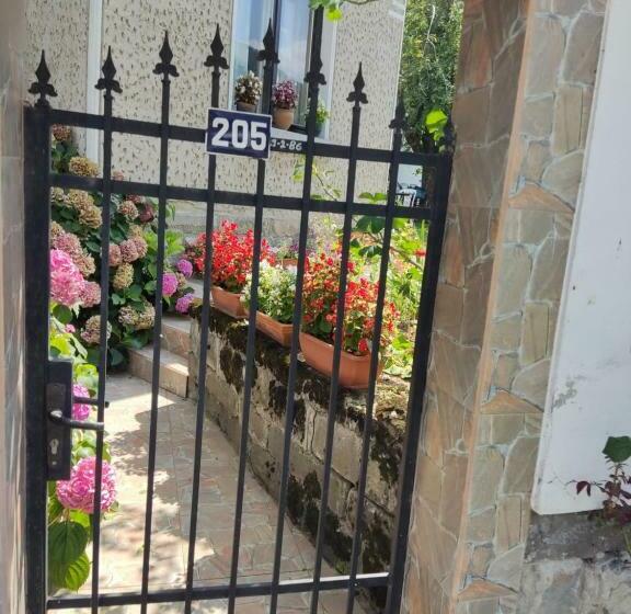 Pensió къща за гости хайк