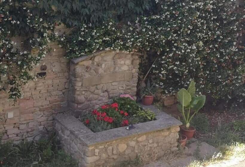 بنسيون Affittacamere Serenità