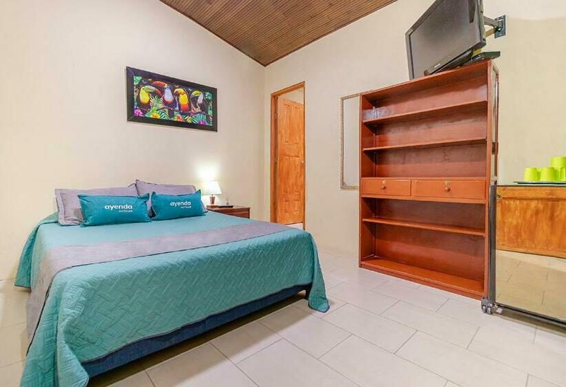 ペンション Ayenda Hostal El Tocororo