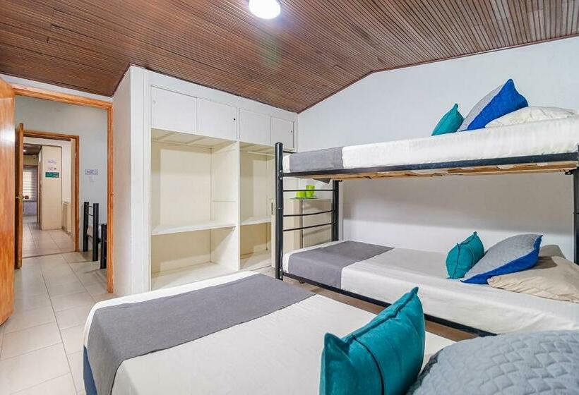 ペンション Ayenda Hostal El Tocororo