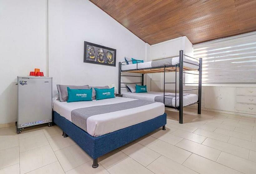 ペンション Ayenda Hostal El Tocororo