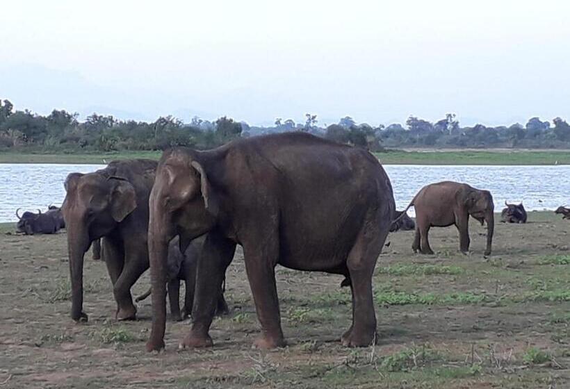 膳宿费 Blue Point Rest