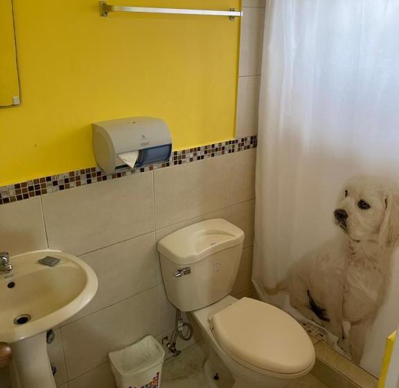 بنسيون Brisas De Coclé