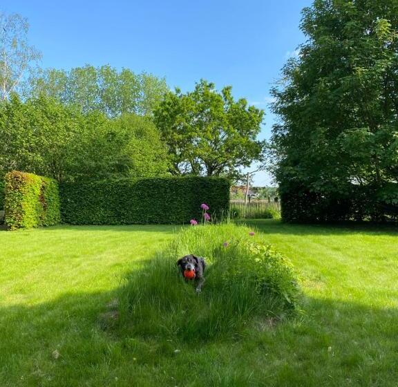 ペンション Bulsomhuys