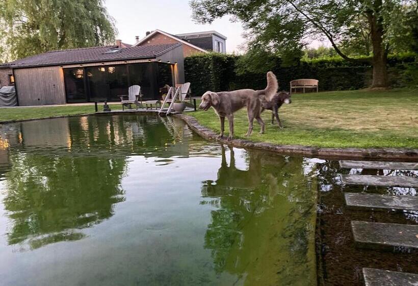 ペンション Bulsomhuys