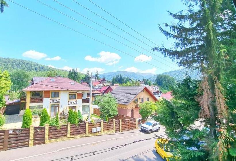 פנסיון Casa Cu Brazi