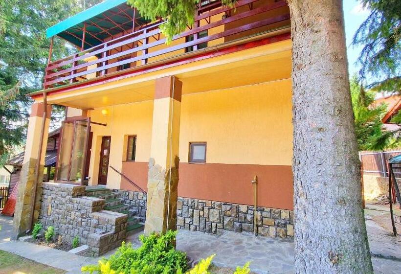 פנסיון Casa Cu Brazi