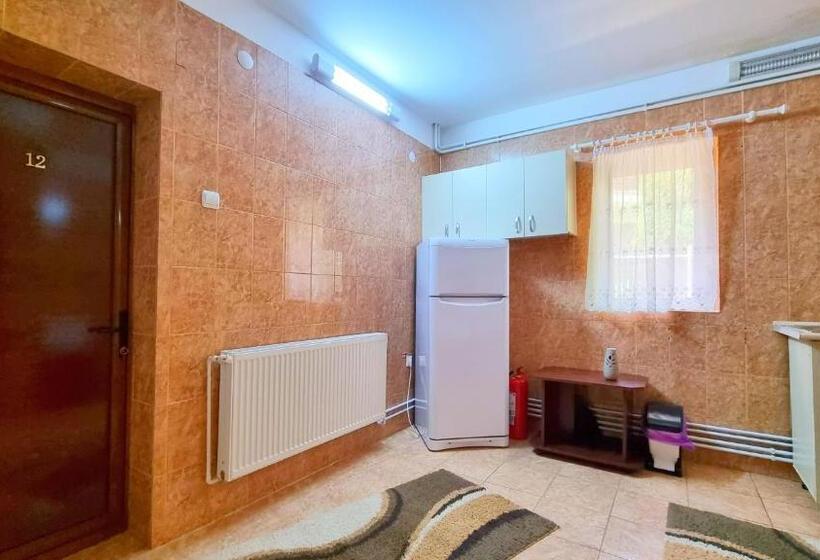 פנסיון Casa Cu Brazi