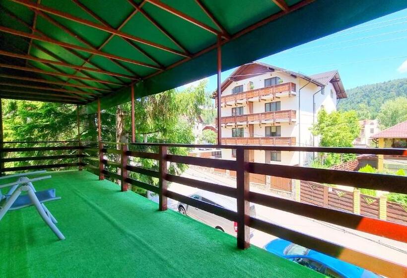 פנסיון Casa Cu Brazi