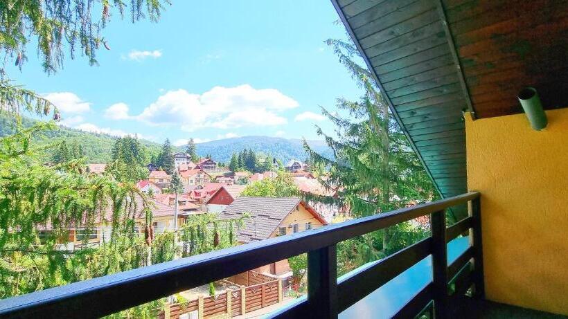 פנסיון Casa Cu Brazi