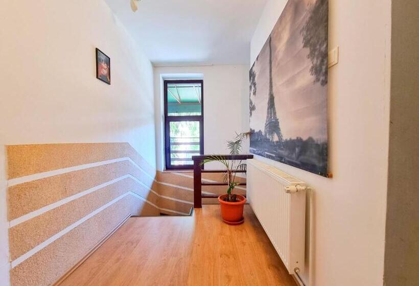 פנסיון Casa Cu Brazi