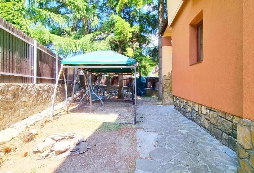 פנסיון Casa Cu Brazi