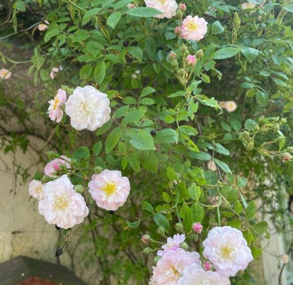 ペンション Chez Katia