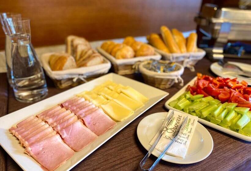 펜션 Duran Penzion