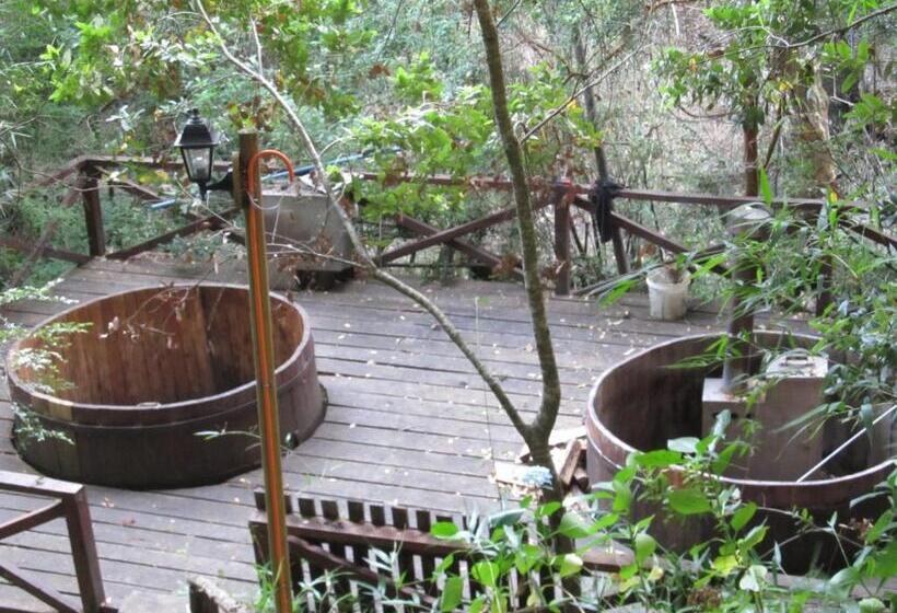 ペンション Ecohostal Huellas Del Bosque