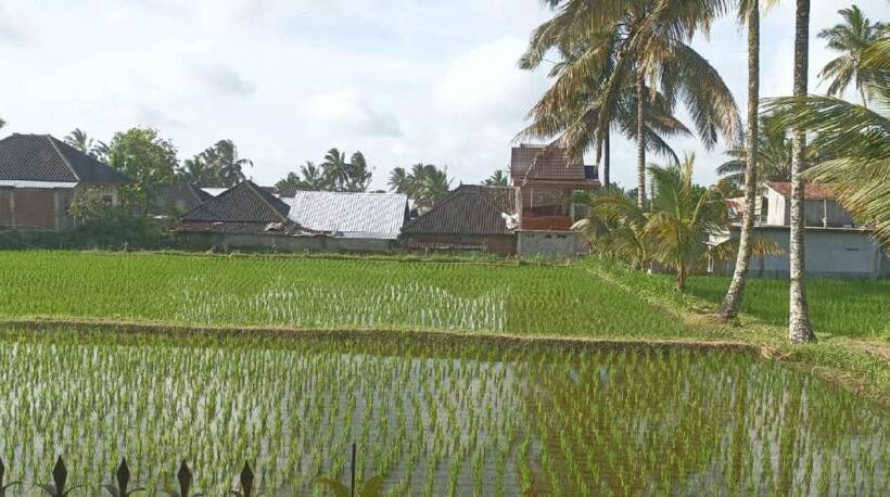 פנסיון Mysha Guest House Lombok