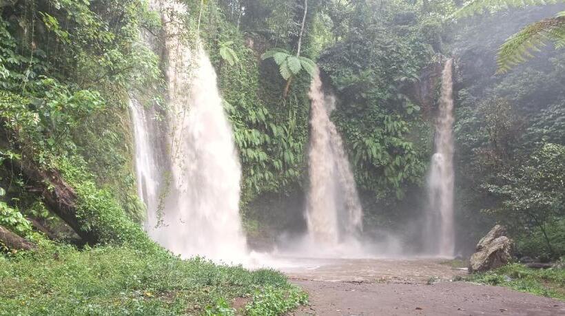 פנסיון Mysha Guest House Lombok