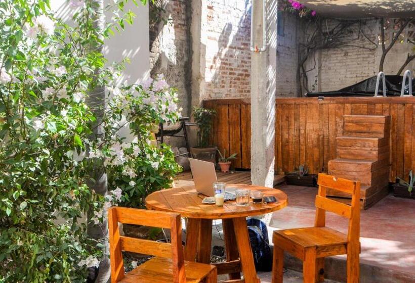 پانسیون Sunset Hostel   Centro