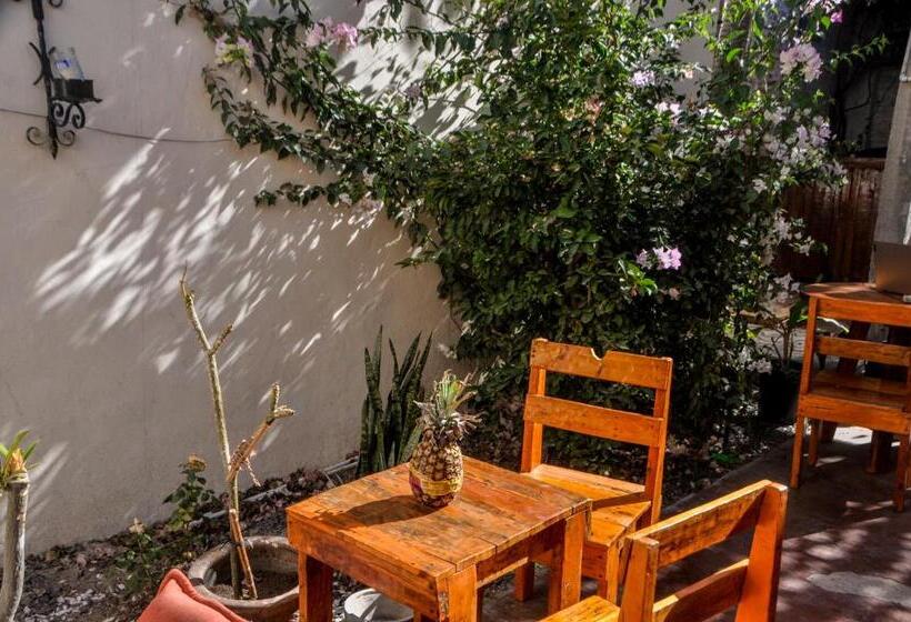 膳宿费 Sunset Hostel Centro