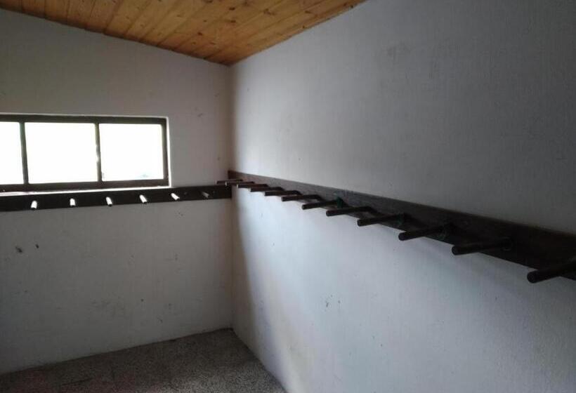 Пансион Třilužkovy Pokoj Standart Id Pokoje 4917188