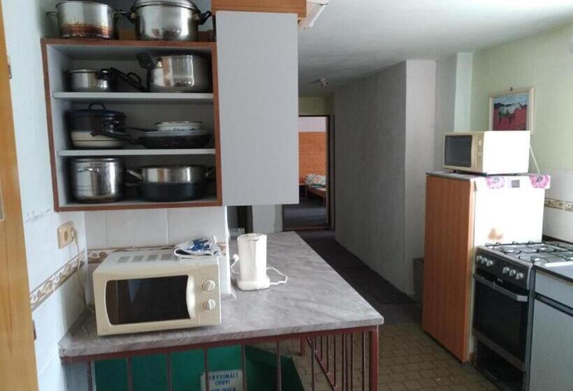 Пансион Třilužkovy Pokoj Standart Id Pokoje 4917188