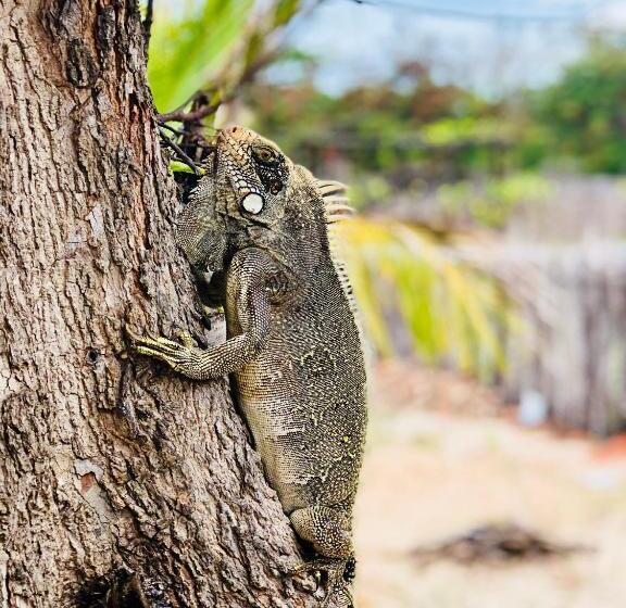 אתר נופש Beekite Wind Village