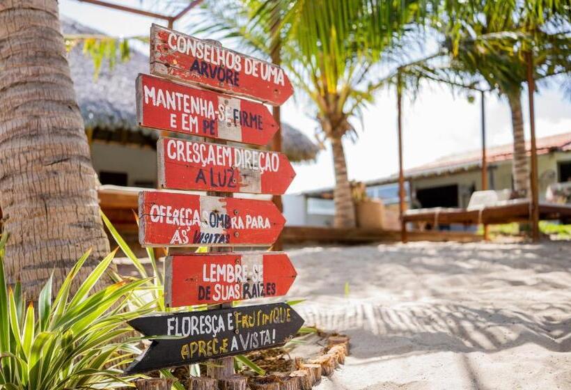 אתר נופש Beekite Wind Village