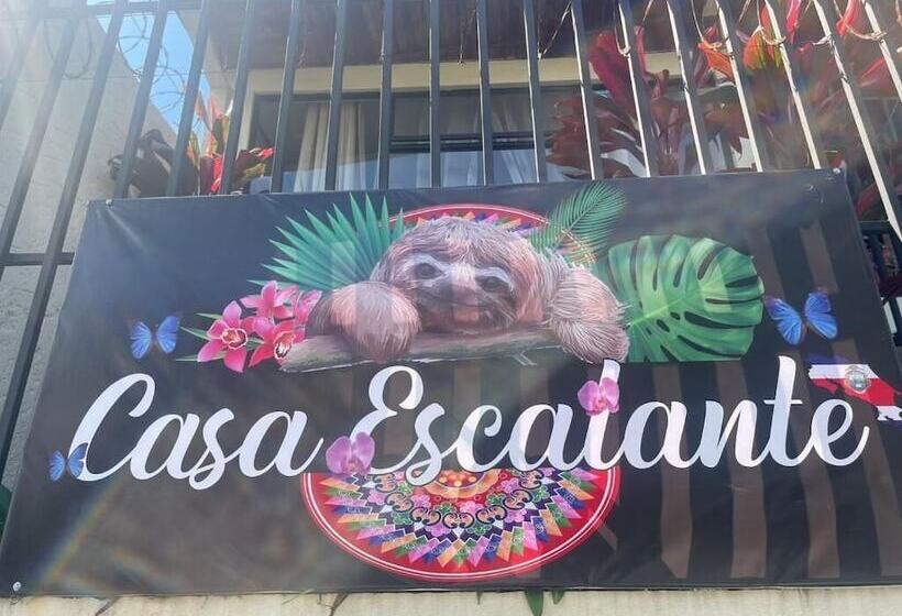 تختخواب و صبحانه Casa Escalante Hostel