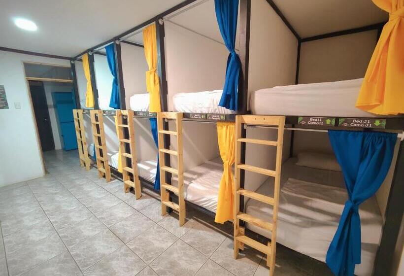 تختخواب و صبحانه Casa Escalante Hostel