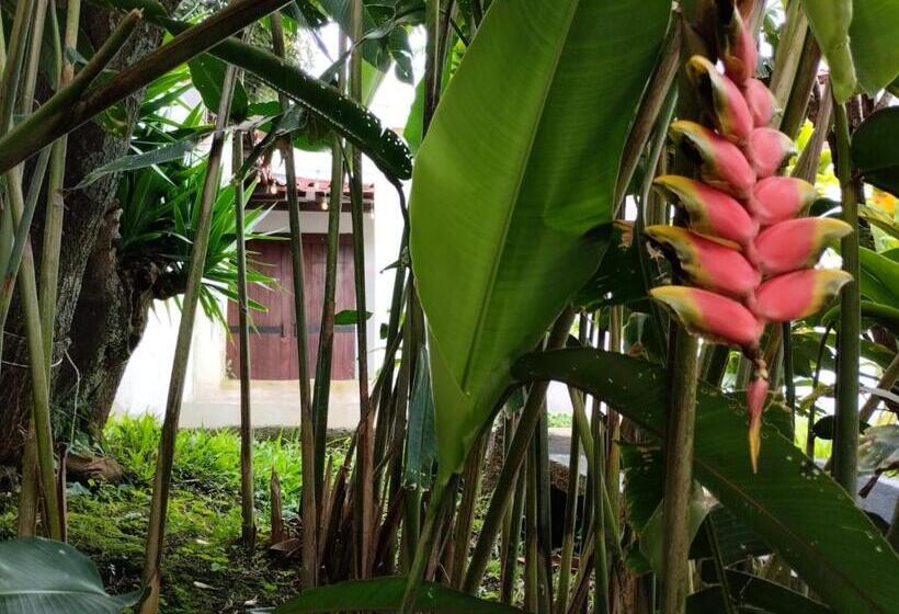 تختخواب و صبحانه Casa Escalante Hostel