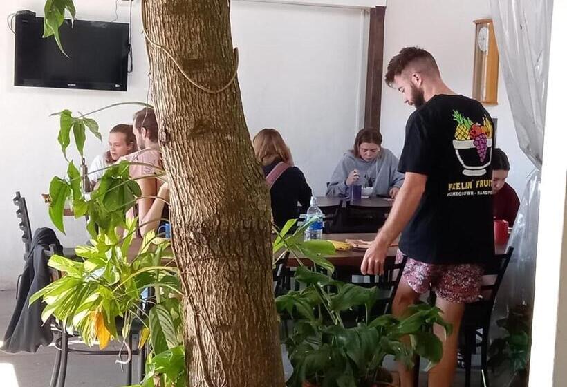 تختخواب و صبحانه Casa Escalante Hostel