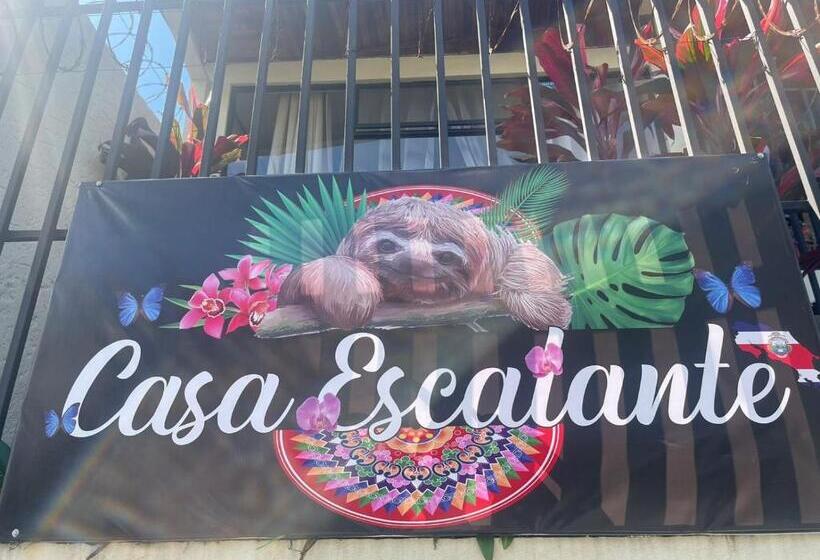 تختخواب و صبحانه Casa Escalante Hostel