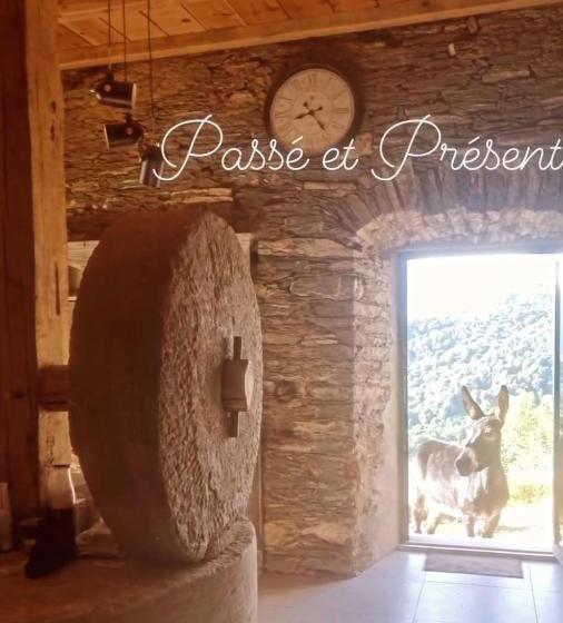 ベッドアンドブレックファースト Domaine Colonna Santini ,chambre D Hôtes Piscine, Sauna, Spa