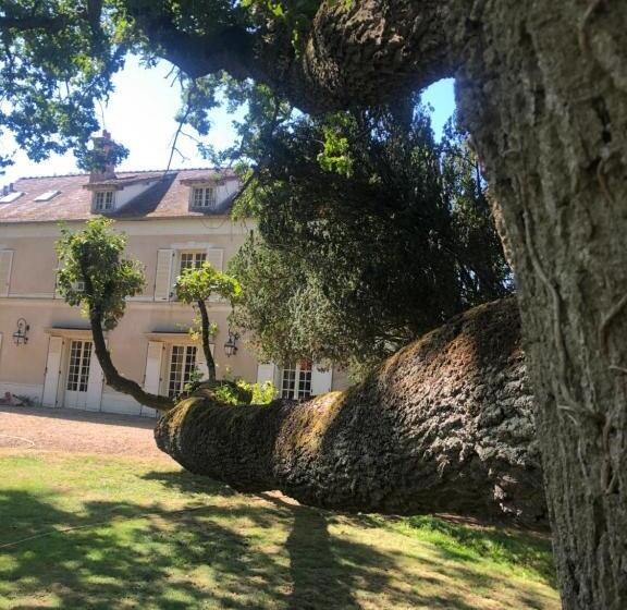 צימר La Plaine De L Angelus